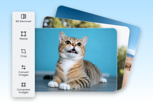 Edit photos such as cat landscape and morein a bulk