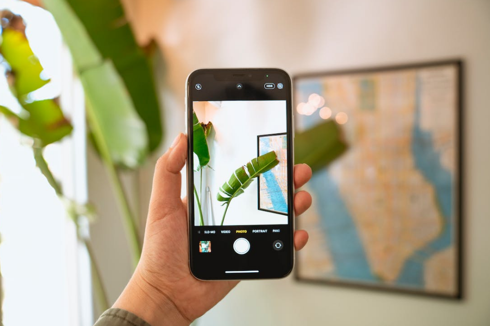 use iphone camera to take a picture of leaves and map